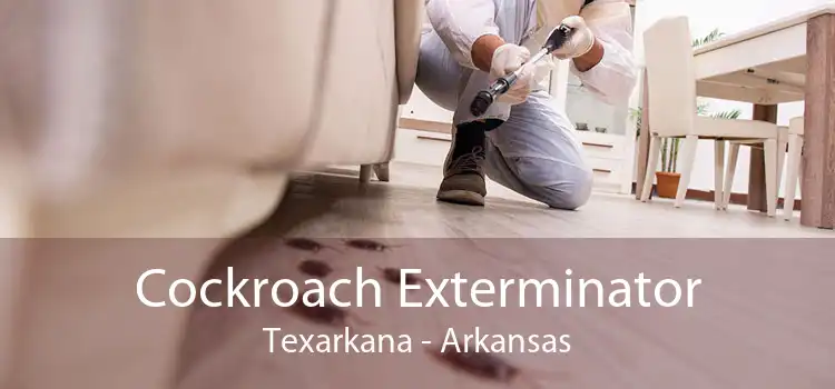 Cockroach Exterminator Texarkana - Arkansas