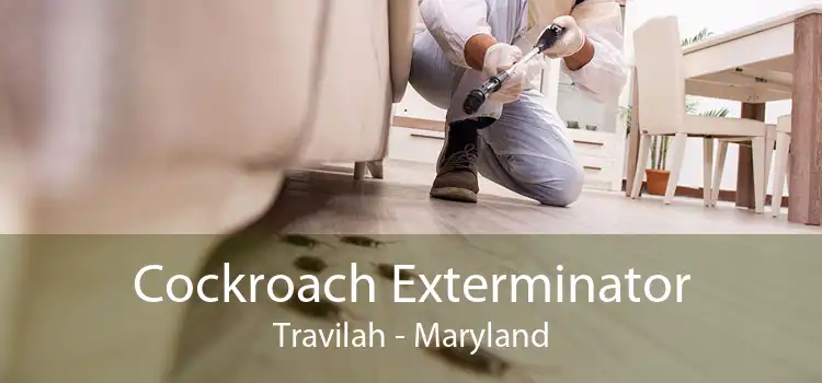 Cockroach Exterminator Travilah - Maryland