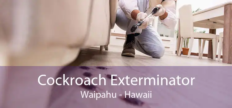 Cockroach Exterminator Waipahu - Hawaii