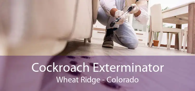 Cockroach Exterminator Wheat Ridge - Colorado