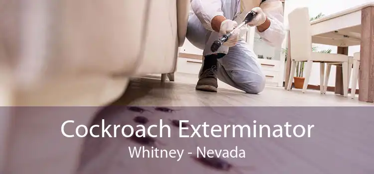 Cockroach Exterminator Whitney - Nevada