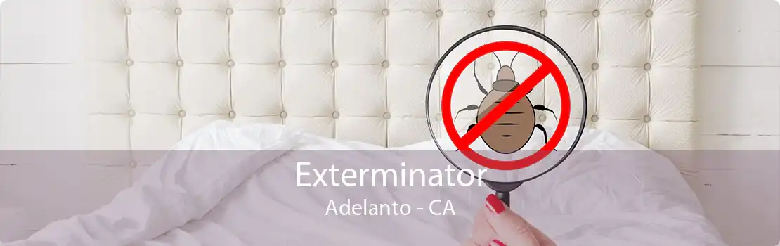 Exterminator Adelanto - CA