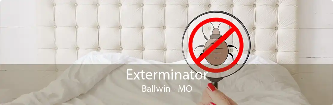 Exterminator Ballwin - MO