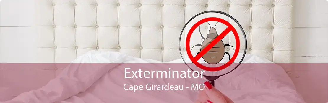 Exterminator Cape Girardeau - MO