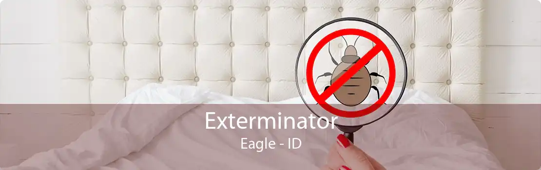 Exterminator Eagle - ID