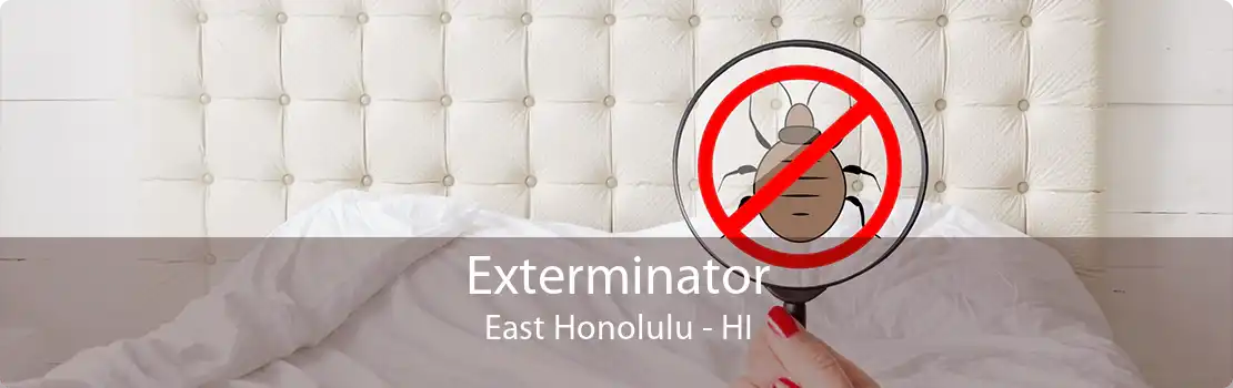 Exterminator East Honolulu - HI