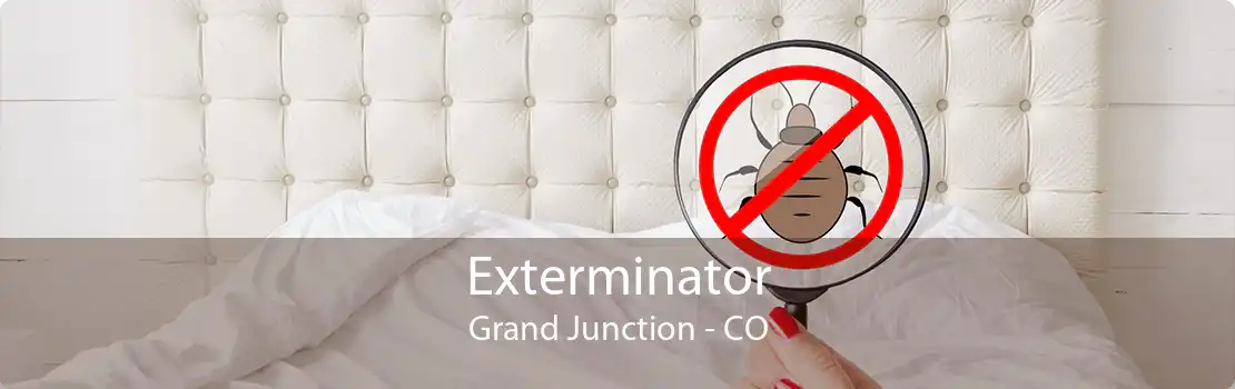 Exterminator Grand Junction - CO