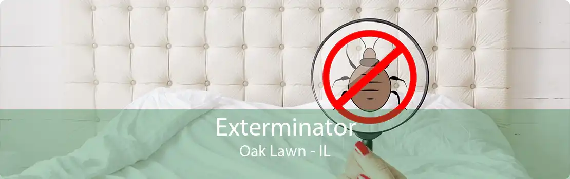 Exterminator Oak Lawn - IL