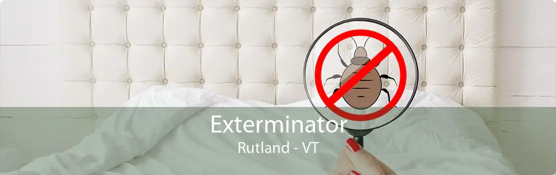 Exterminator Rutland - VT