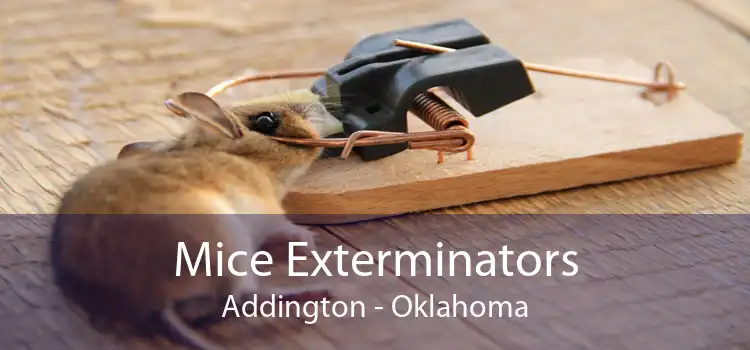 Mice Exterminators Addington - Oklahoma