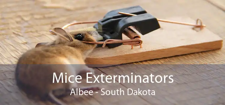 Mice Exterminators Albee - South Dakota