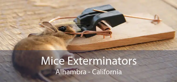 Mice Exterminators Alhambra - California