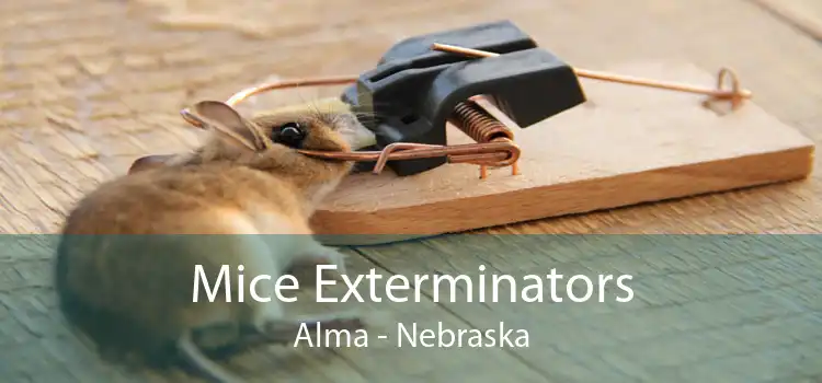 Mice Exterminators Alma - Nebraska