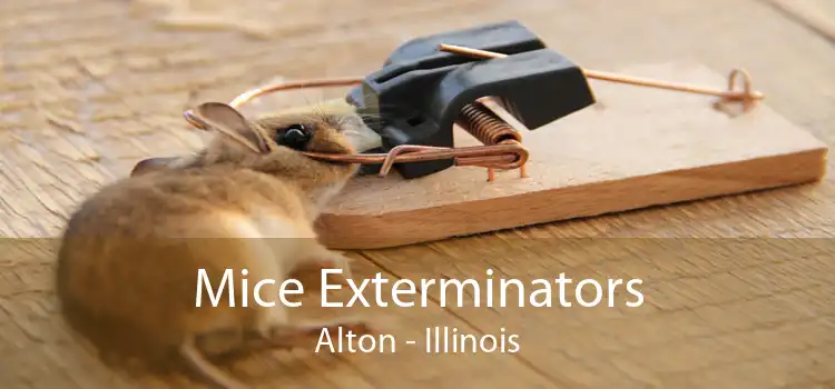 Mice Exterminators Alton - Illinois