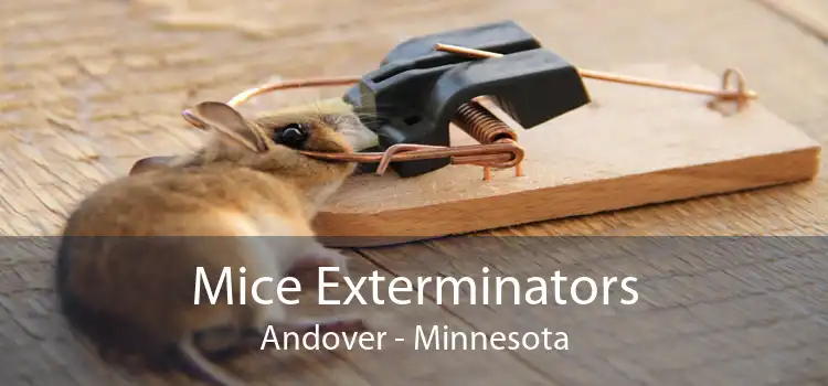 Mice Exterminators Andover - Minnesota