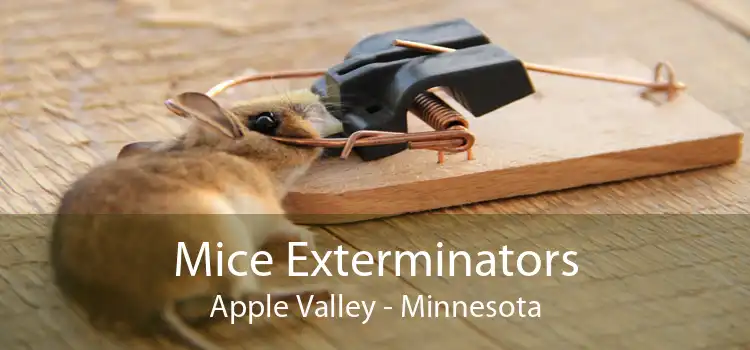 Mice Exterminators Apple Valley - Minnesota