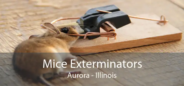 Mice Exterminators Aurora - Illinois