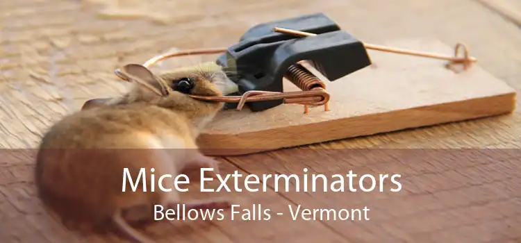 Mice Exterminators Bellows Falls - Vermont