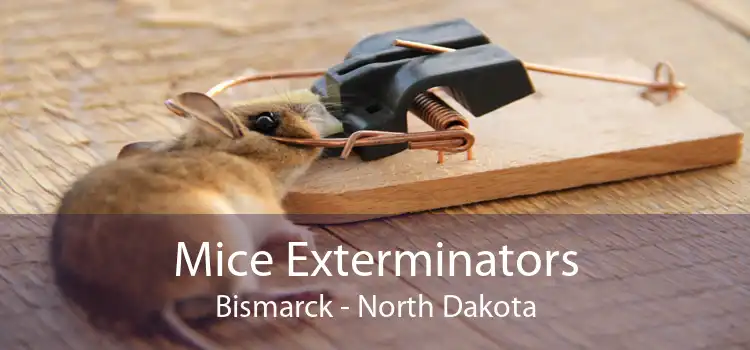 Mice Exterminators Bismarck - North Dakota