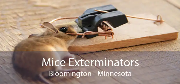 Mice Exterminators Bloomington - Minnesota