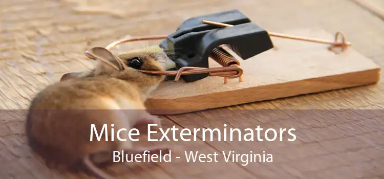 Mice Exterminators Bluefield - West Virginia