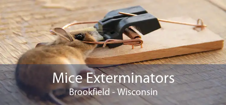 Mice Exterminators Brookfield - Wisconsin