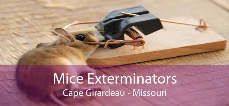 Mice Exterminators Cape Girardeau - Missouri