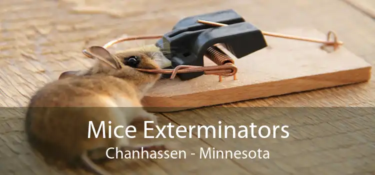 Mice Exterminators Chanhassen - Minnesota