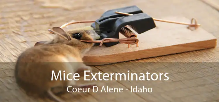 Mice Exterminators Coeur D Alene - Idaho