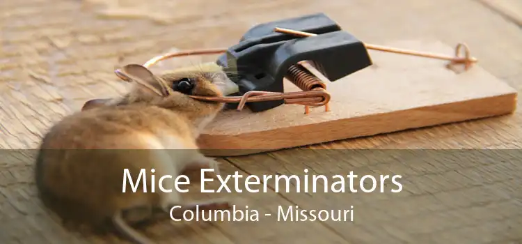 Mice Exterminators Columbia - Missouri