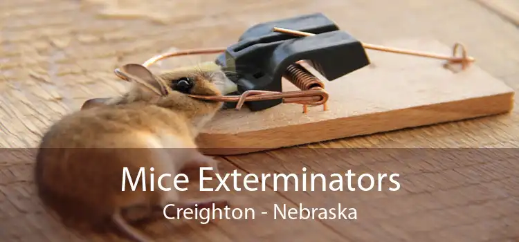 Mice Exterminators Creighton - Nebraska