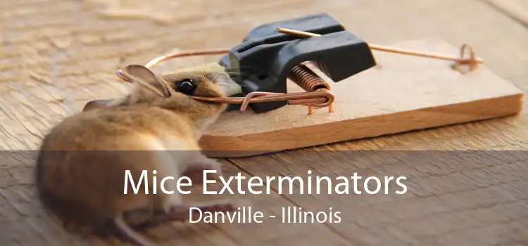 Mice Exterminators Danville - Illinois