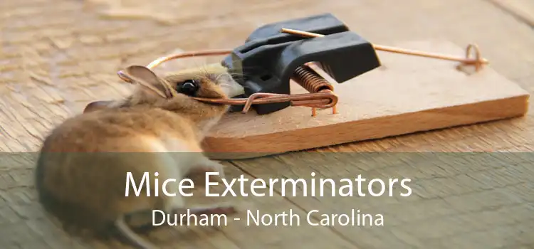 Mice Exterminators Durham - North Carolina