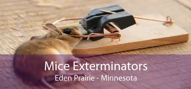Mice Exterminators Eden Prairie - Minnesota