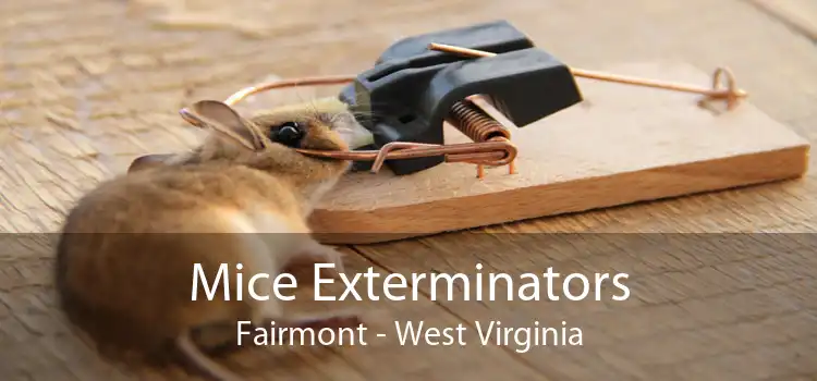 Mice Exterminators Fairmont - West Virginia
