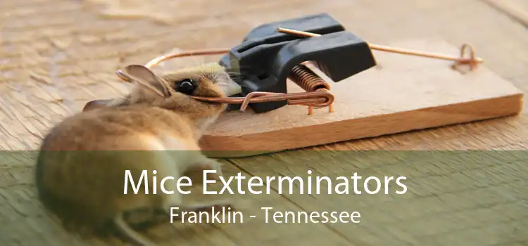 Mice Exterminators Franklin - Tennessee
