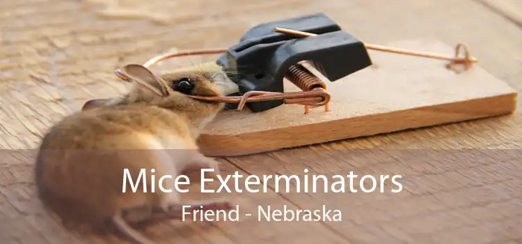 Mice Exterminators Friend - Nebraska