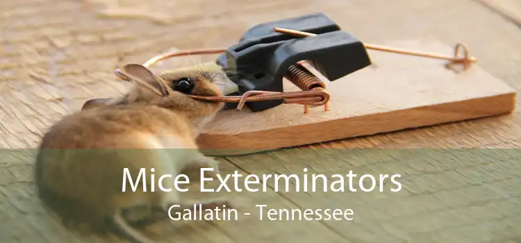 Mice Exterminators Gallatin - Tennessee