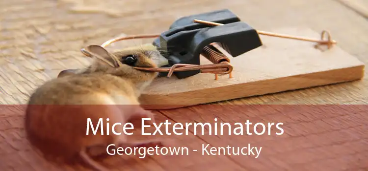 Mice Exterminators Georgetown - Kentucky