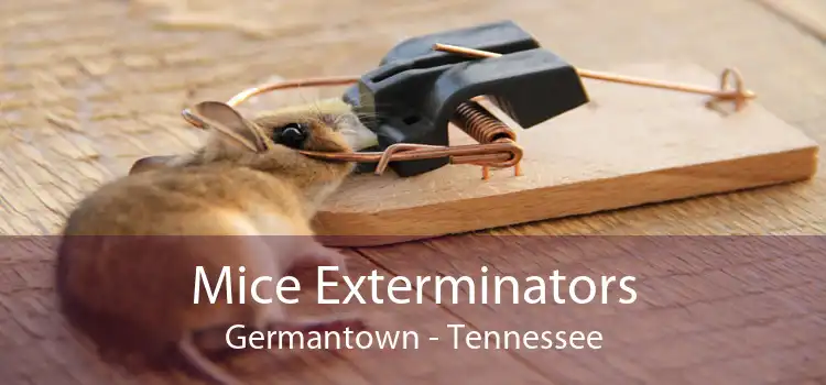 Mice Exterminators Germantown - Tennessee