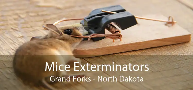 Mice Exterminators Grand Forks - North Dakota