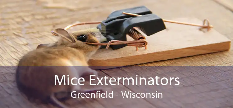 Mice Exterminators Greenfield - Wisconsin