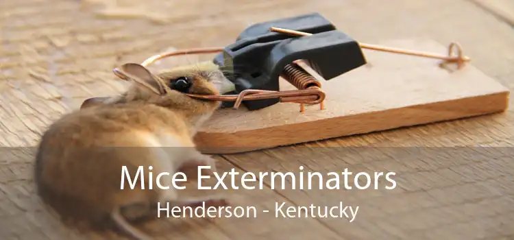 Mice Exterminators Henderson - Kentucky
