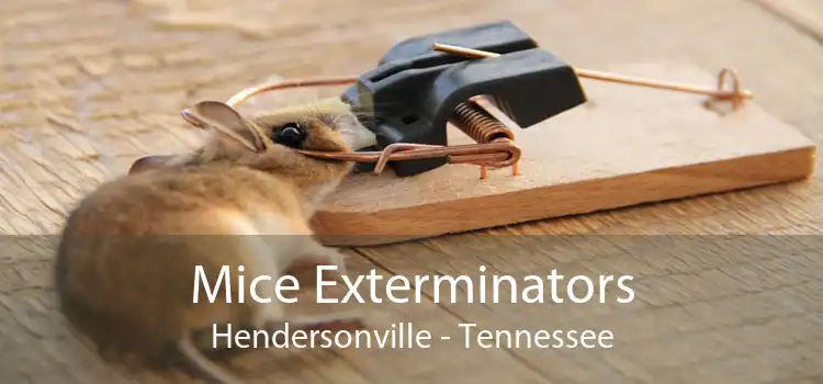 Mice Exterminators Hendersonville - Tennessee