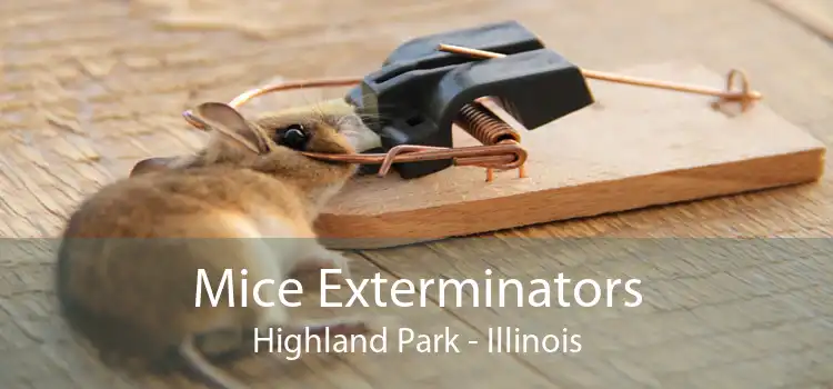 Mice Exterminators Highland Park - Illinois