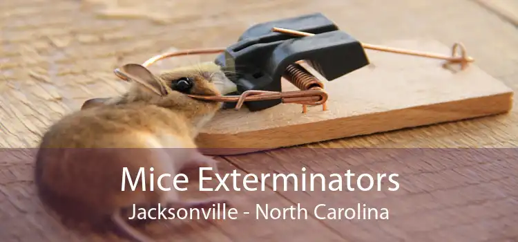 Mice Exterminators Jacksonville - North Carolina