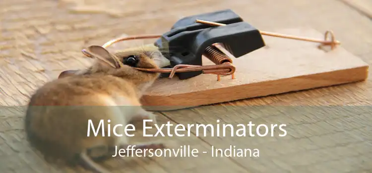Mice Exterminators Jeffersonville - Indiana