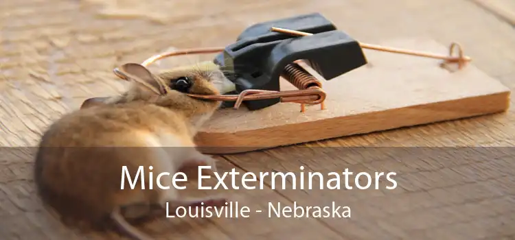 Mice Exterminators Louisville - Nebraska