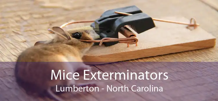 Mice Exterminators Lumberton - North Carolina