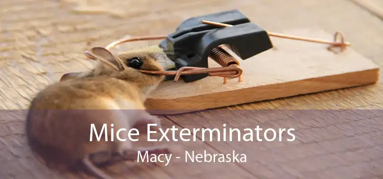 Mice Exterminators Macy - Nebraska